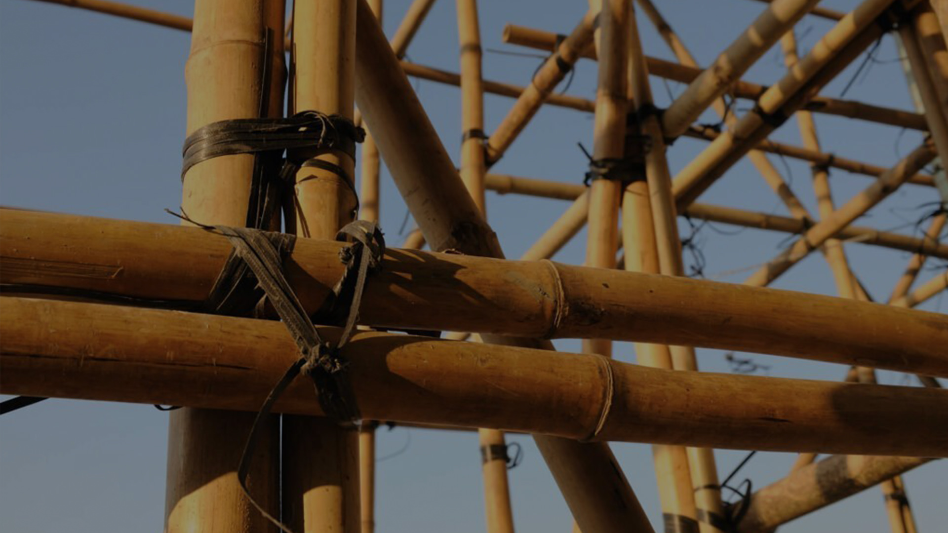 探索竹子的力量：建基于传统的技术